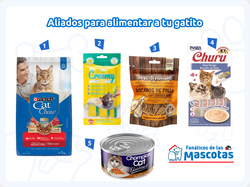 alimento seco para gatos, alimento húmedo tipo churu, galletas snacks para gatos, churu para gatos y alimento húmedo para gatos en lata. Es una selección completa de alimentos para mascotas en invierno.