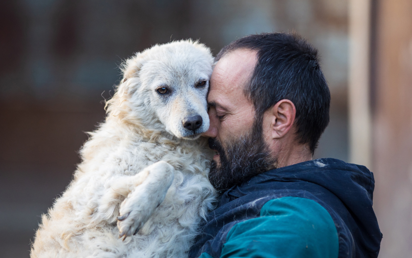 un hombre sostiene en sus brazos a un perro quiltro peludo de color blanco