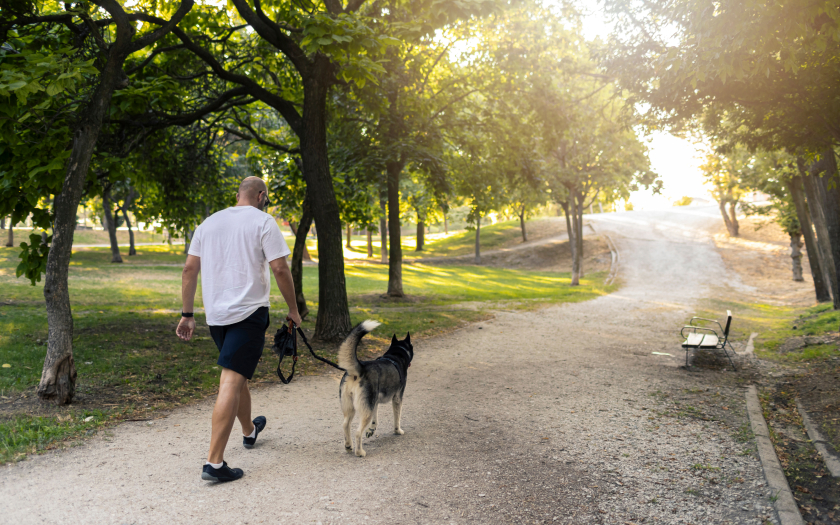 un hombre pasea con su perro, el cual lleva su correa y collar. Así, se respeta la tenencia responsable de mascotas en los lugares públicos como parques y plazas.