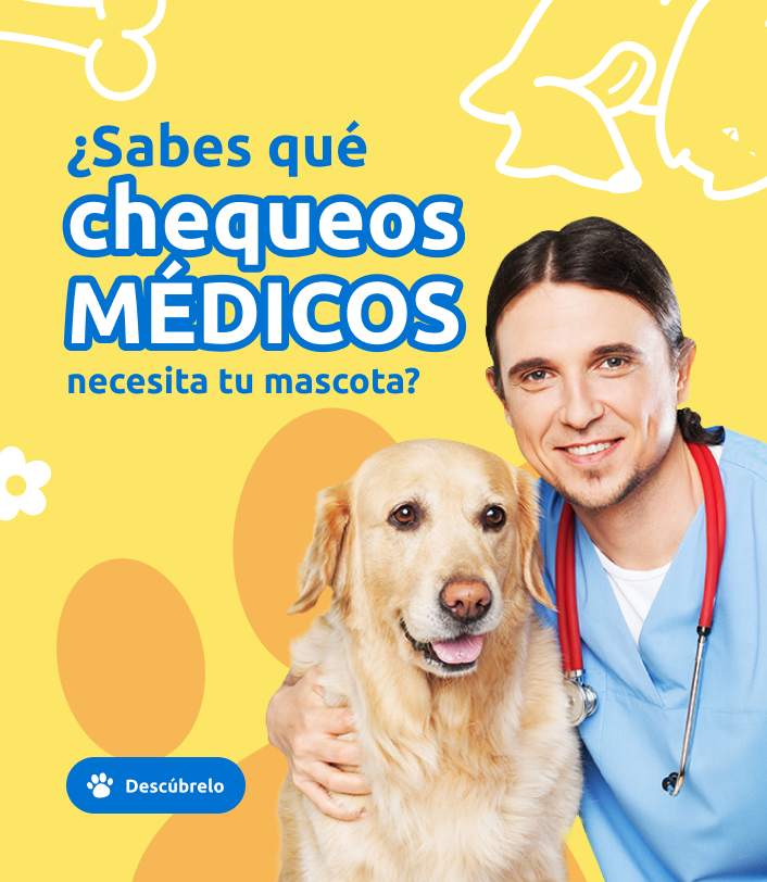 Chequeo-mascotas_mobile