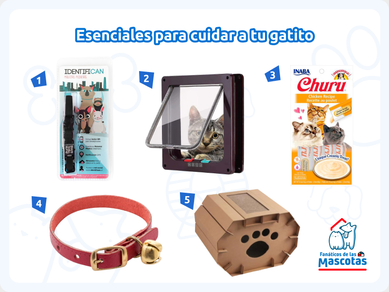 collar con placa identificatoria para mascota, puerta para mascotas, churu para gatos, collar para gato con cascabel y casa rascador, productos ideales para cuidar a un gato.