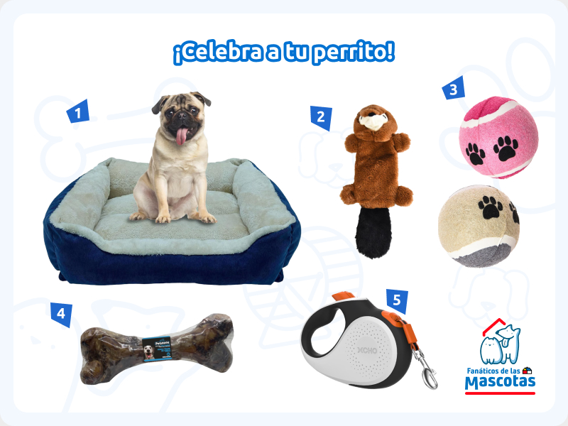 selección de productos para celebrar el día del perro: cama para mascotas, juguete para perros, pelotas para perros, hueso para morder y correa retráctil.