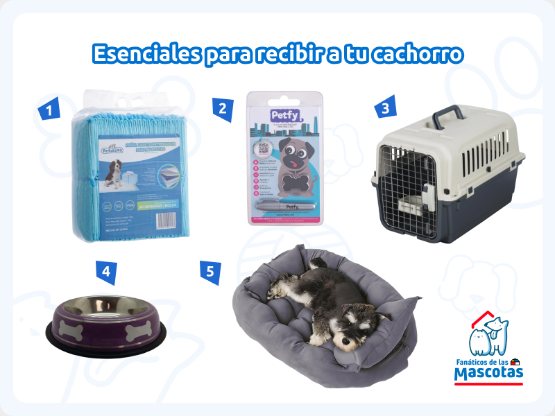 sabanillas de entrenamiento para perro, collar con placa identificatoria, jaula transportadora para mascotas, comedero para perro y cama para perros. Es una selección de productos para la adopción de perros.