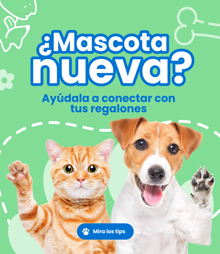 Adaptación-de-mascota_mobile