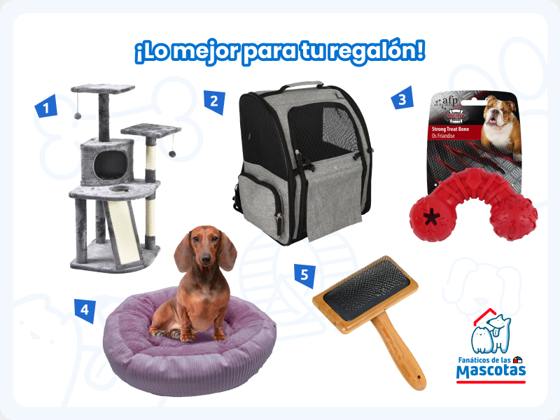 selección de productos para cuidar a un perro o gato: gimnasio rascador, mochila transportadora, juguete para perro, cama para mascota y cepillo para mascotas.