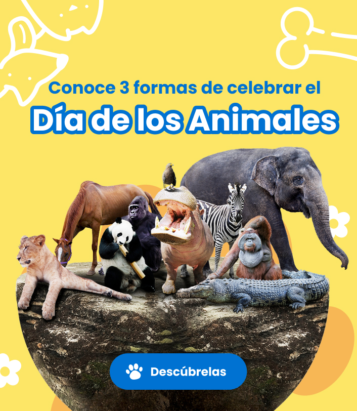 Dia-de-los-animales_mobile