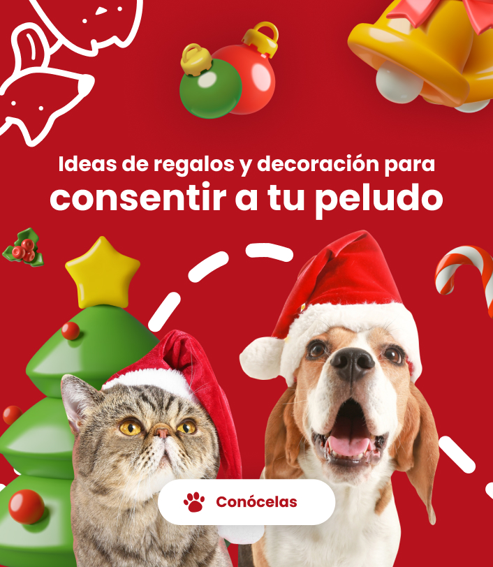 Especial-navidad_mobile