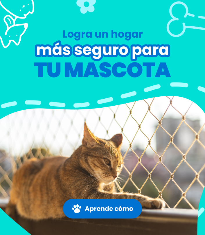 Mallas-mascotas_mobile