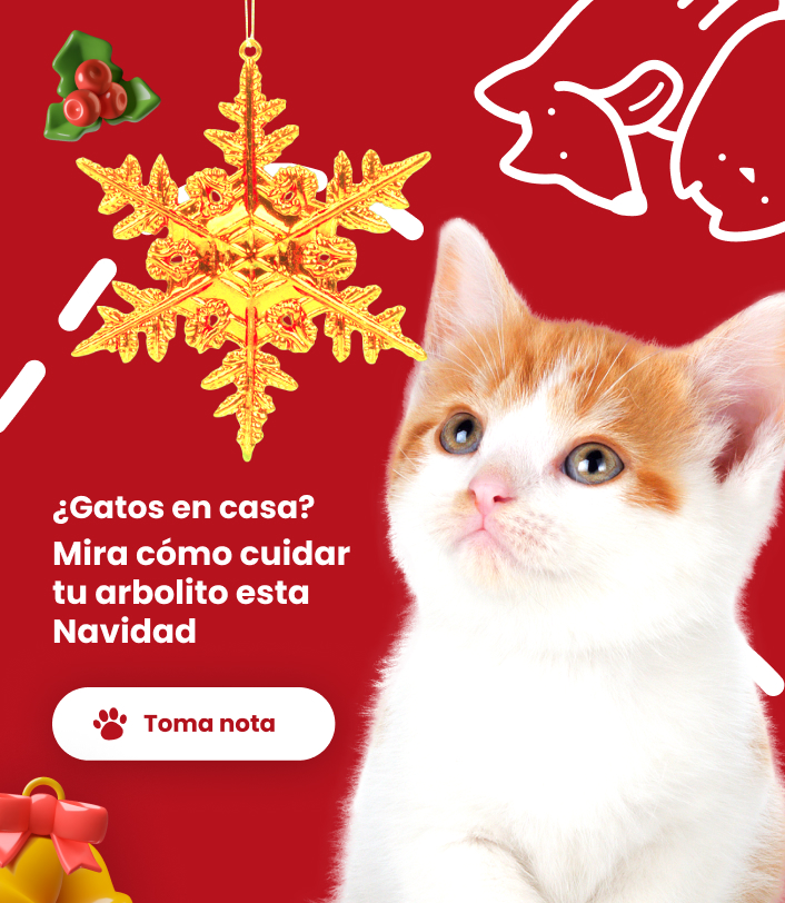 Especial-navidad_mobile