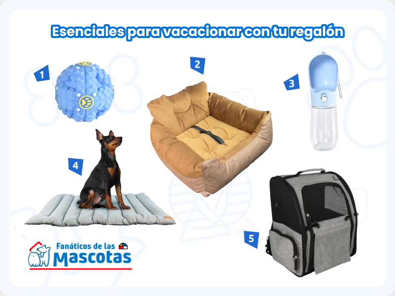 selección de productos para viajar con mascotas o vacacionar con mascotas: pelota interactiva para treats, cama para auto, bebedero portátil, cama roller para mascotas y mochila transportadora para mascotas.