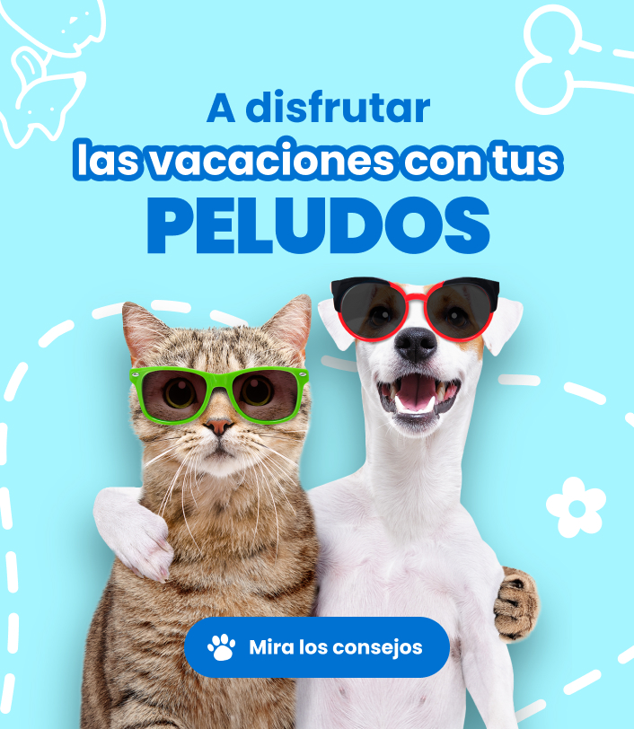 mascotas-de-vacaciones_mobile