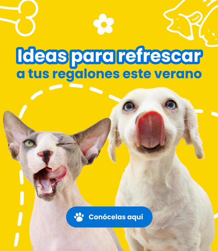 Refrescar-mascota_mobile